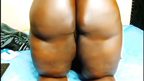 Free Solo Female Porn Videos - tamilxxhub.com
