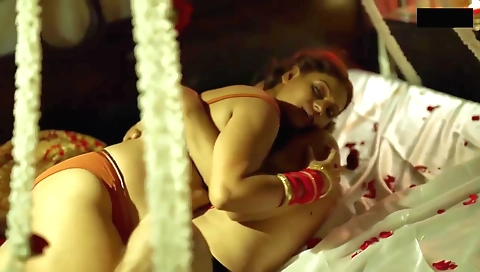 Indian slut with a nice body gets penetrated by her lover