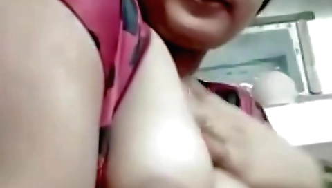 Desi wife exposing big boobs in homemade sex video